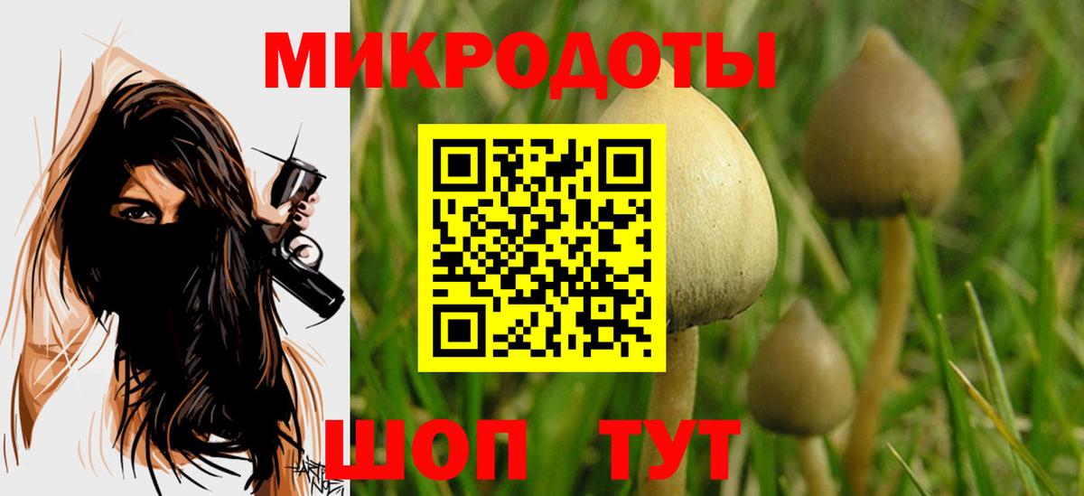 Псилоцибиновые грибы MAGIC MUSHROOMS  Вход с VPN  Сальск 